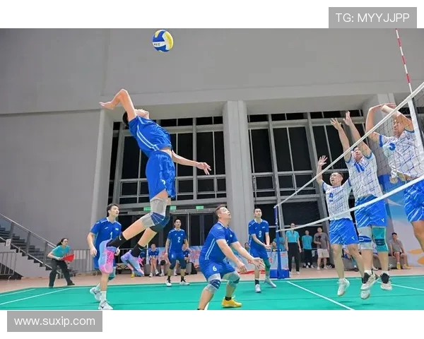 排球盛宴：深入了解成都排球队的比赛策略与经验分享