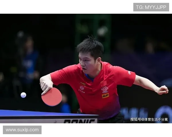 杨芳独家分享乒乓球技巧与心得体会助你提升球技的秘密之道