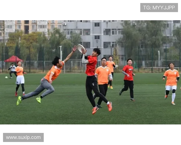 西安飞盘队的比赛经验分享与成长之路探讨 西安飞盘队的比赛经验分享与成长之路探讨